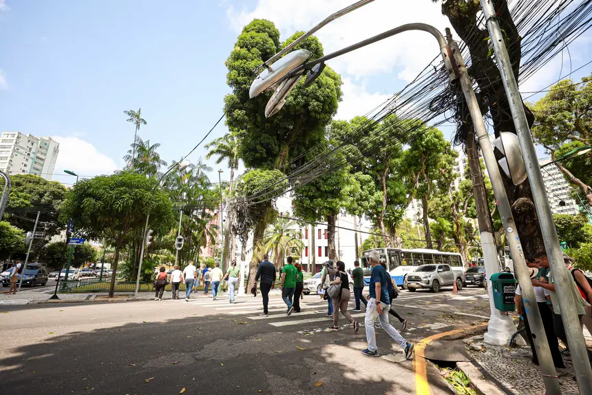  <div class='credito_fotos'>Foto: Rodrigo Pinheiro / Ag. Pará &nbsp;&nbsp;|&nbsp;&nbsp; <a href='/midias/2025/originais/20250914093639-GF00024858-F00443728.jpg' download><i class='fa-solid fa-download'></i> Download</a></div>