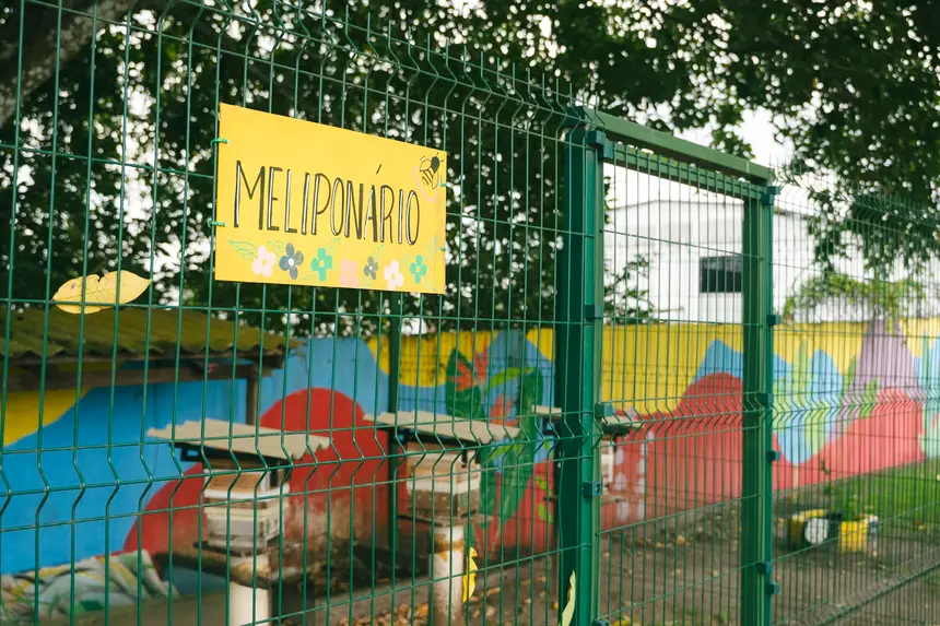 Espaço no CIIR dedicado à preservação de abelhas nativas e à conscientização ambiental