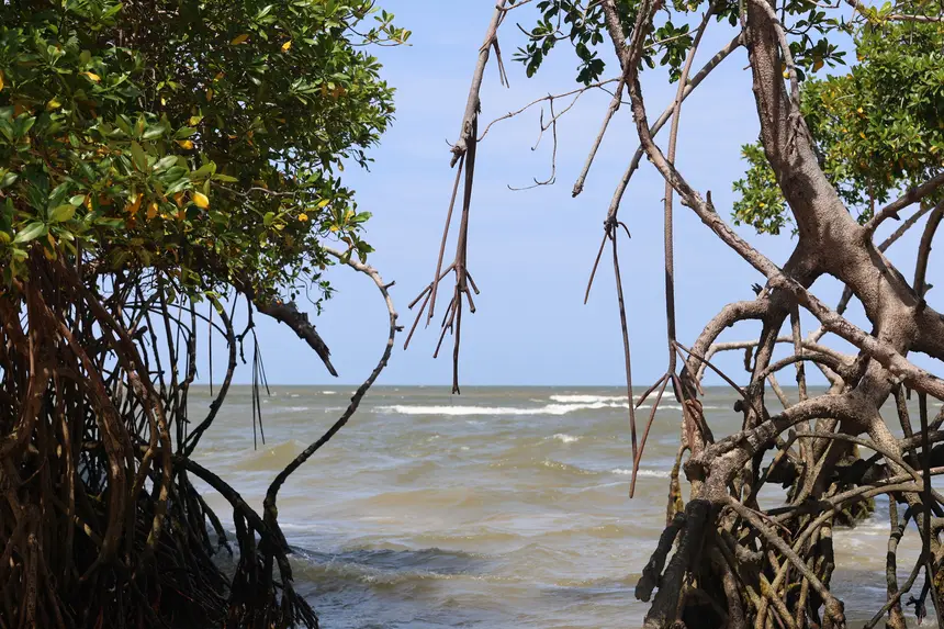 <div class='credito_fotos'>Foto: Bruno Cruz / Ag. Pará | <a href='/midias/2025/originais/20251014132959-GF00025167-F00455100.jpg' download><i class='fa-solid fa-download'></i> Download</a></div>