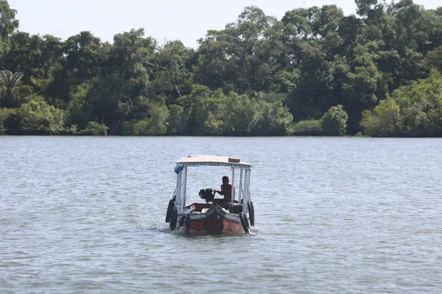 <div class='credito_fotos'>Foto: Bruno Cruz / Ag. Pará | <a href='/midias/2025/originais/20251014133114-GF00025167-F00455118.jpg' download><i class='fa-solid fa-download'></i> Download</a></div>