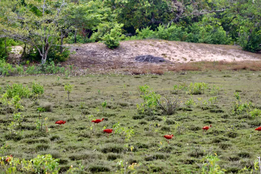 <div class='credito_fotos'>Foto: Bruno Cruz / Ag. Pará | <a href='/midias/2025/originais/20251014133137-GF00025167-F00455128.jpg' download><i class='fa-solid fa-download'></i> Download</a></div>