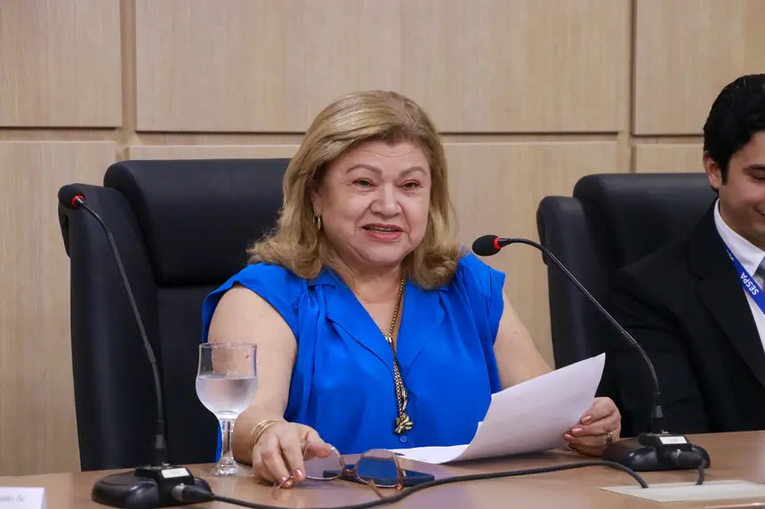 Margareth Braun, diretora de Gestão do Trabalho eGestão da Saúde da Sespa