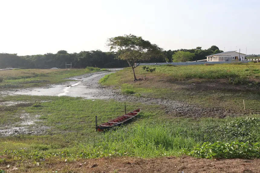  <div class='credito_fotos'>Foto: Bruno Cruz / Ag. Pará   |   <a href='/midias/2025/originais/20251015131531-GF00025175-F00455445.jpg' download><i class='fa-solid fa-download'></i> Download</a></div>