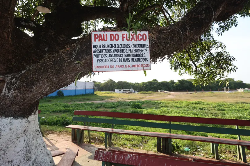  <div class='credito_fotos'>Foto: Bruno Cruz / Ag. Pará   |   <a href='/midias/2025/originais/20251015131535-GF00025175-F00455446.jpg' download><i class='fa-solid fa-download'></i> Download</a></div>