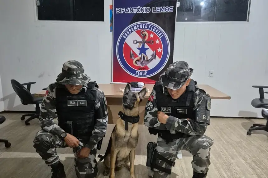 Crédito: Divulgação
