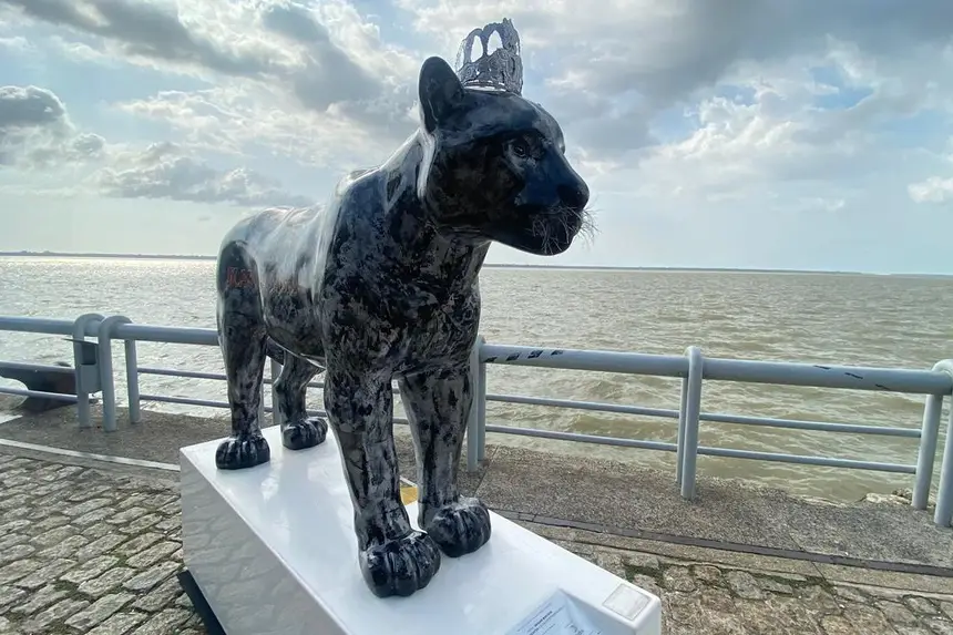 Crédito: Beatriz Santos/Ascom OS Pará 2000