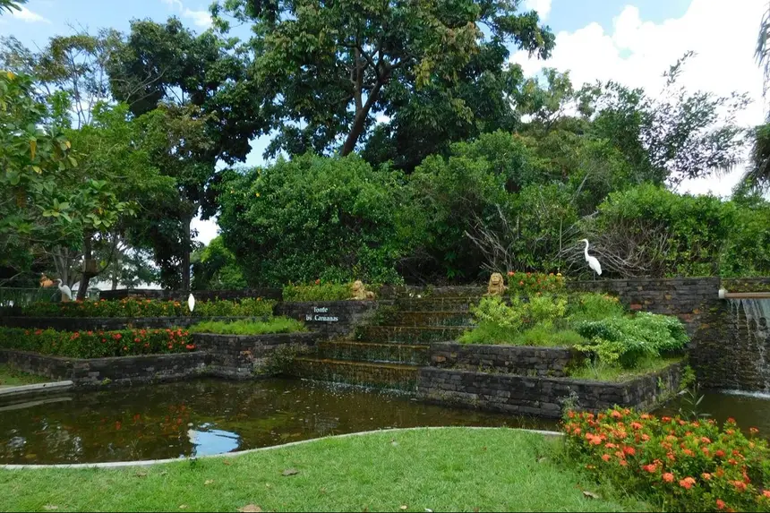 Crédito: Fernanda A J Barros