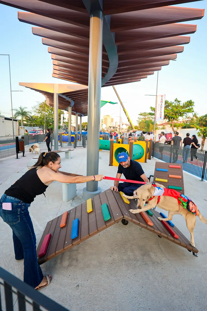  <div class='credito_fotos'>Foto: Bruno Cecim / Ag.Pará   |   <a href='/midias/2025/originais/20251103195355-GF00025370-F00462500.jpg' download><i class='fa-solid fa-download'></i> Download</a></div>