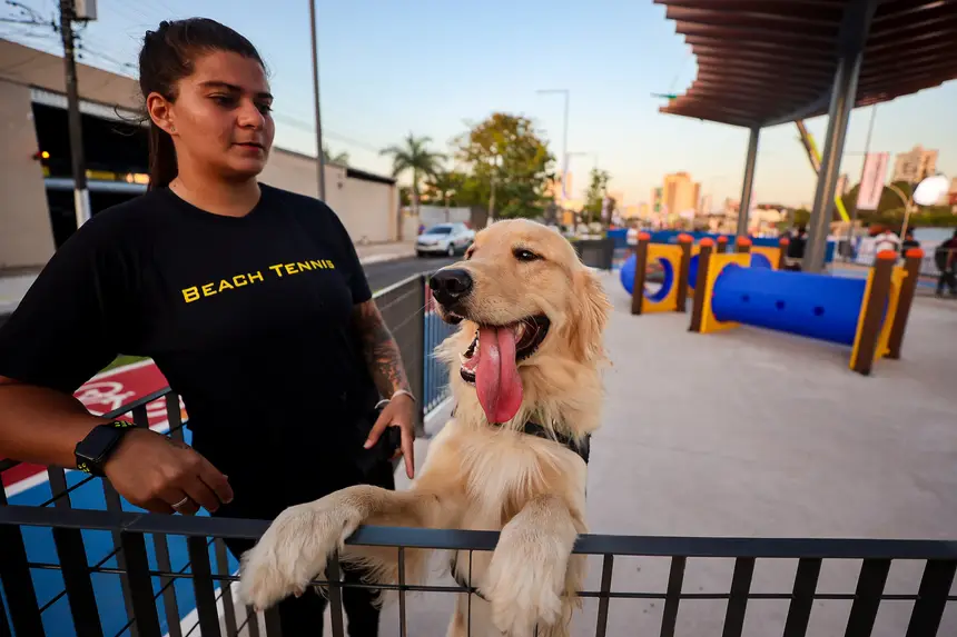  <div class='credito_fotos'>Foto: Bruno Cecim / Ag.Pará   |   <a href='/midias/2025/originais/20251103195403-GF00025370-F00462504.jpg' download><i class='fa-solid fa-download'></i> Download</a></div>