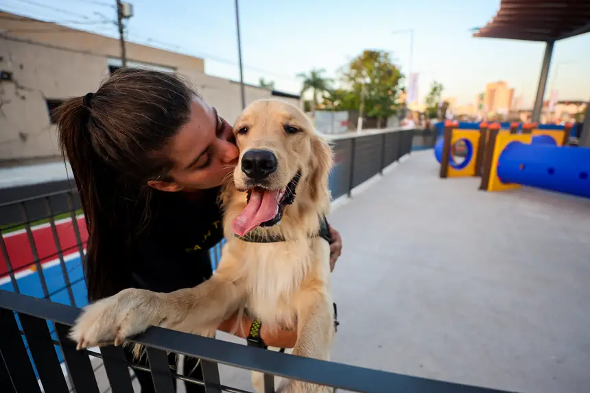  <div class='credito_fotos'>Foto: Bruno Cecim / Ag.Pará   |   <a href='/midias/2025/originais/20251103195406-GF00025370-F00462506.jpg' download><i class='fa-solid fa-download'></i> Download</a></div>