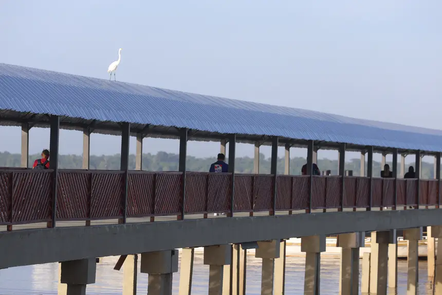  <div class='credito_fotos'>Foto: Bruno Cecim / Ag.Pará   |   <a href='/midias/2025/originais/20251104085851-GF00025374-F00462705.jpg' download><i class='fa-solid fa-download'></i> Download</a></div>