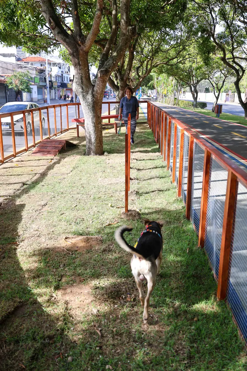  <div class='credito_fotos'>Foto: Marco Santos / Ag. Pará   |   <a href='/midias/2025/originais/20251104104848-GF00025377-F00462854.jpg' download><i class='fa-solid fa-download'></i> Download</a></div>