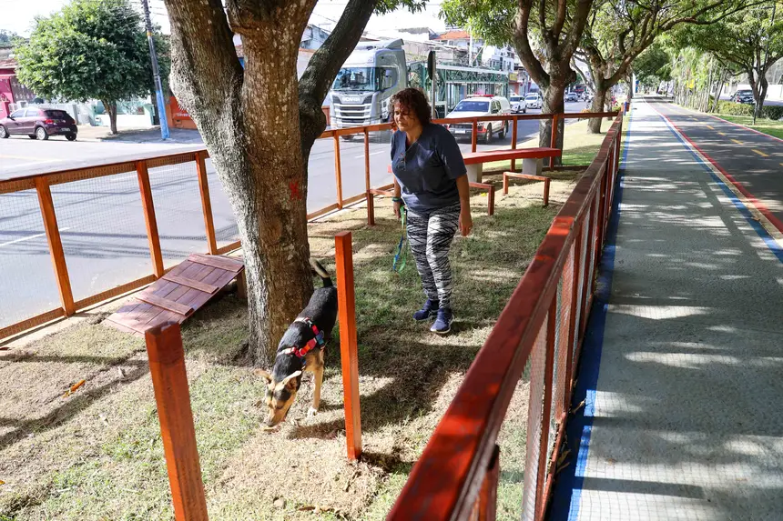  <div class='credito_fotos'>Foto: Marco Santos / Ag. Pará   |   <a href='/midias/2025/originais/20251104104854-GF00025377-F00462856.jpg' download><i class='fa-solid fa-download'></i> Download</a></div>