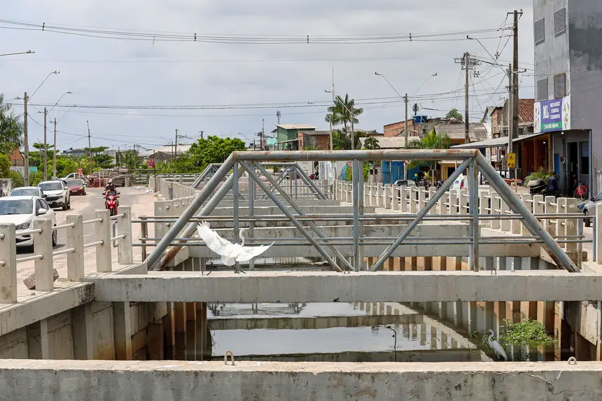  <div class='credito_fotos'>Foto: Bruno Cruz / Ag. Pará   |   <a href='/midias/2025/originais/20251105114604-GF00025384-F00463176.jpg' download><i class='fa-solid fa-download'></i> Download</a></div>