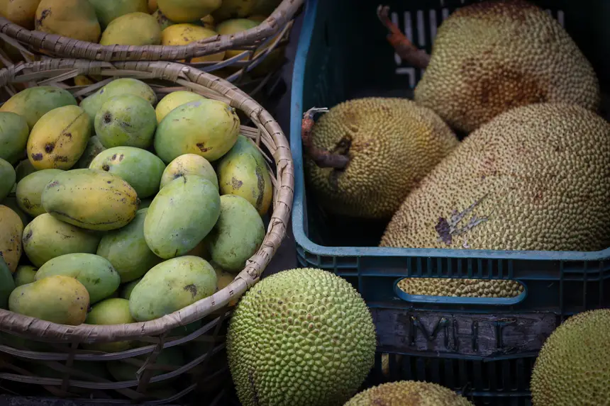  <div class='credito_fotos'>Foto: Pedro Guerreiro / Ag. Pará &nbsp;&nbsp;|&nbsp;&nbsp; <a href='/midias/2025/originais/20251108161250-GF00025418-F00464456.jpg' download><i class='fa-solid fa-download'></i> Download</a></div>