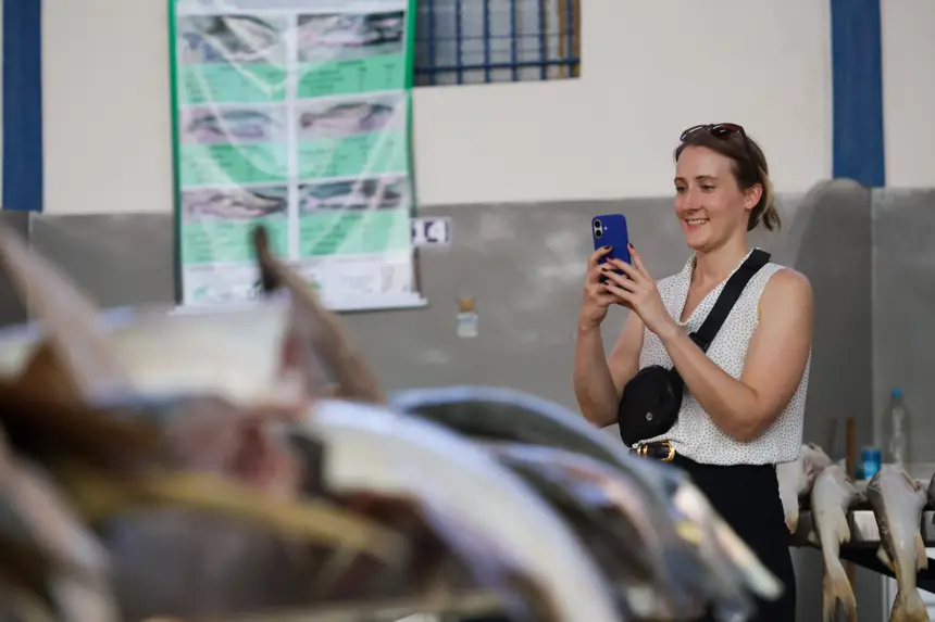  <div class='credito_fotos'>Foto: Pedro Guerreiro / Ag. Pará &nbsp;&nbsp;|&nbsp;&nbsp; <a href='/midias/2025/originais/20251108161318-GF00025418-F00464468.jpg' download><i class='fa-solid fa-download'></i> Download</a></div>