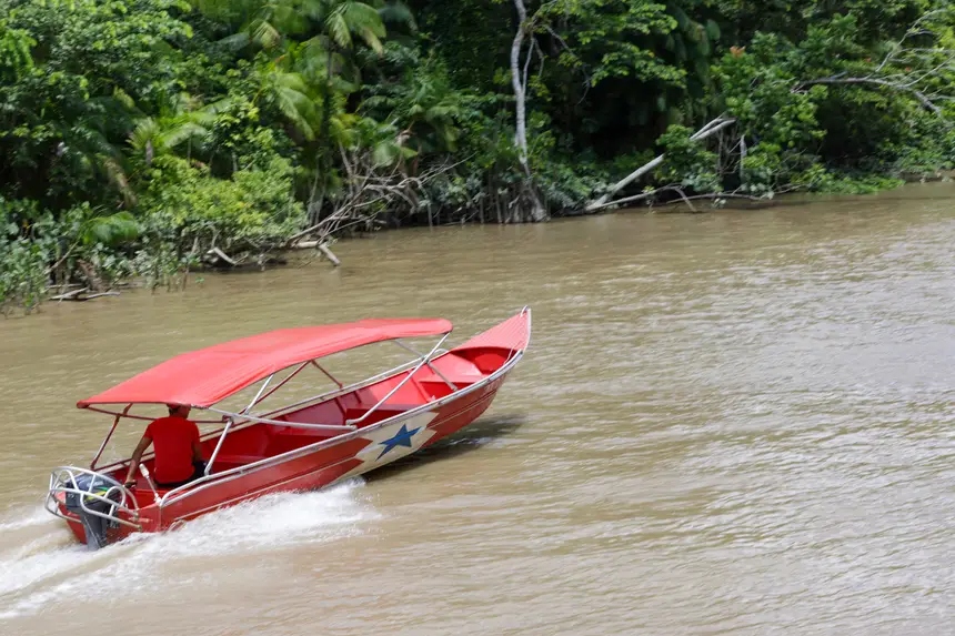  <div class='credito_fotos'>Foto: Pedro Guerreiro / Ag. Pará &nbsp;&nbsp;|&nbsp;&nbsp; <a href='/midias/2025/originais/20251108161336-GF00025418-F00464477.jpg' download><i class='fa-solid fa-download'></i> Download</a></div>