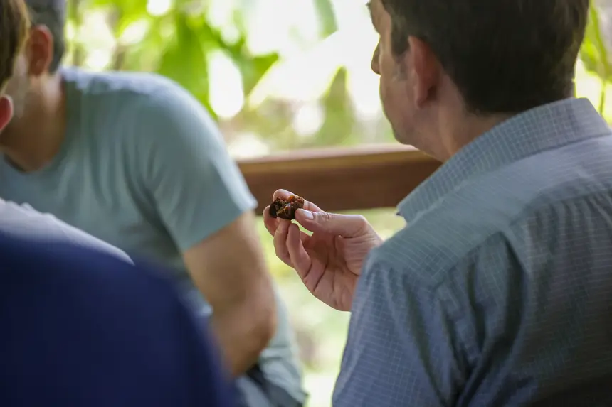  <div class='credito_fotos'>Foto: Pedro Guerreiro / Ag. Pará &nbsp;&nbsp;|&nbsp;&nbsp; <a href='/midias/2025/originais/20251108161403-GF00025418-F00464490.jpg' download><i class='fa-solid fa-download'></i> Download</a></div>