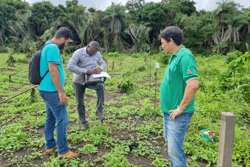 Em Santarém, no Baixo Amazonas