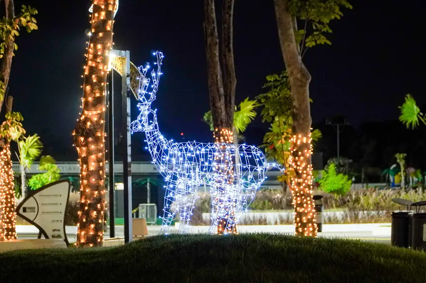  <div class='credito_fotos'>Foto: Vinicius Pinto / Ag. Pará &nbsp;&nbsp;|&nbsp;&nbsp; <a href='/midias/2025/originais/20251204221208-GF00025783-F00474937.jpg' download><i class='fa-solid fa-download'></i> Download</a></div>