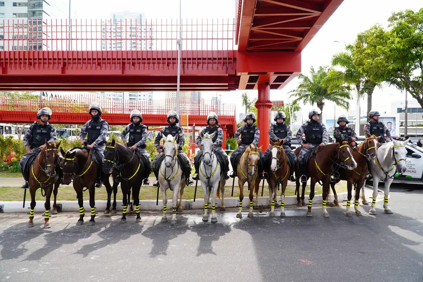  <div class='credito_fotos'>Foto: Diego Garcia / Ag. Pará &nbsp;&nbsp;|&nbsp;&nbsp; <a href='/midias/2025/originais/20251205132313-GF00025792-F00475314.jpg' download><i class='fa-solid fa-download'></i> Download</a></div>