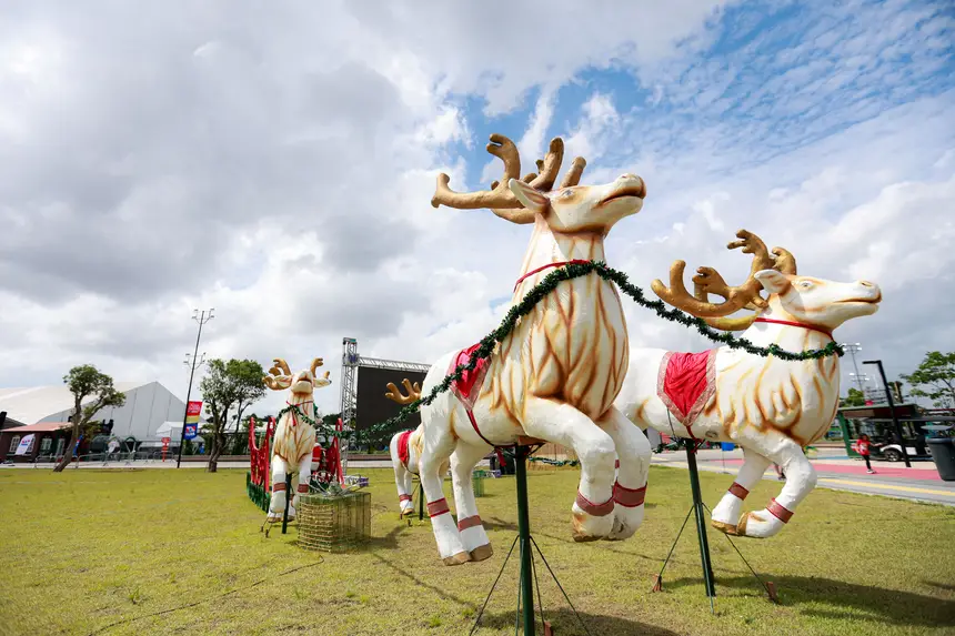  <div class='credito_fotos'>Foto: Marcelo Lelis / Ag. Pará &nbsp;&nbsp;|&nbsp;&nbsp; <a href='/midias/2025/originais/20251207121729-GF00025812-F00476061.jpg' download><i class='fa-solid fa-download'></i> Download</a></div>