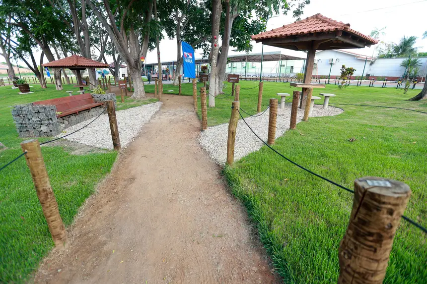  <div class='credito_fotos'>Foto: Marcelo Lelis / Ag. Pará &nbsp;&nbsp;|&nbsp;&nbsp; <a href='/midias/2025/originais/20251216092601-GF00025879-F00478532.jpg' download><i class='fa-solid fa-download'></i> Download</a></div>