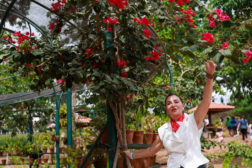  <div class='credito_fotos'>Foto: Marcelo Lelis / Ag. Pará &nbsp;&nbsp;|&nbsp;&nbsp; <a href='/midias/2025/originais/20251216160634-GF00025879-F00478673.jpg' download><i class='fa-solid fa-download'></i> Download</a></div>