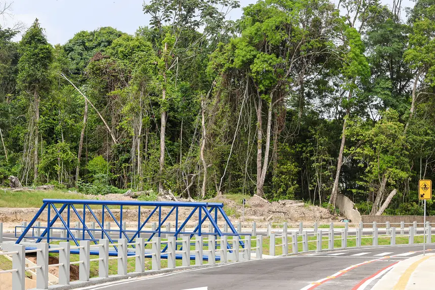  <div class='credito_fotos'>Foto: Bruno Cruz / Ag. Pará &nbsp;&nbsp;|&nbsp;&nbsp; <a href='/midias/2025/originais/20251223110943-GF00025943-F00480354.jpg' download><i class='fa-solid fa-download'></i> Download</a></div>