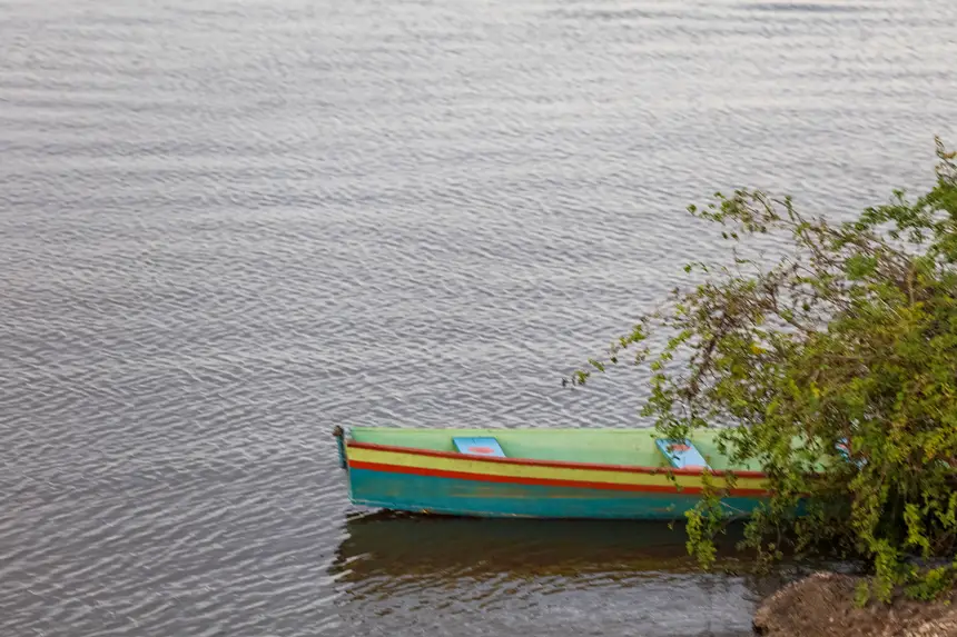  <div class='credito_fotos'>Foto: Bruno Cruz / Ag. Pará &nbsp;&nbsp;|&nbsp;&nbsp; <a href='/midias/2025/originais/20251229184807-GF00025985-F00481549.jpg' download><i class='fa-solid fa-download'></i> Download</a></div>