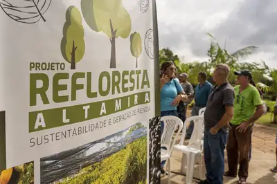 notícia: Projeto Refloresta Altamira distribui 100 mil mudas e avança na recuperação de áreas degradadas na região do Xingu