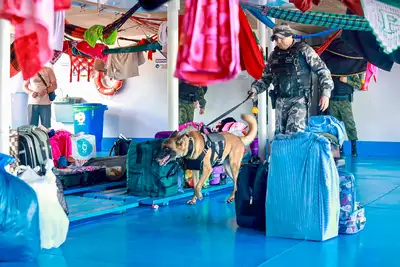 notícia: Pará atinge recorde de apreensões e reduz roubos nos rios em quase 50%