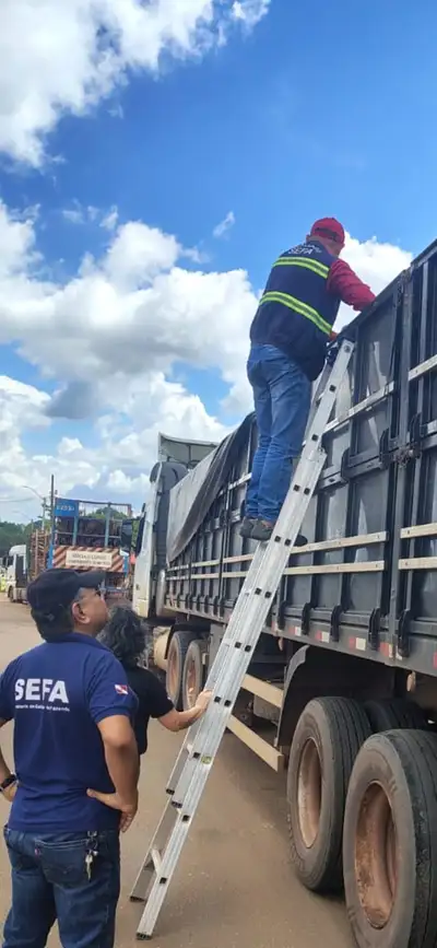 Crédito: Divulgação
