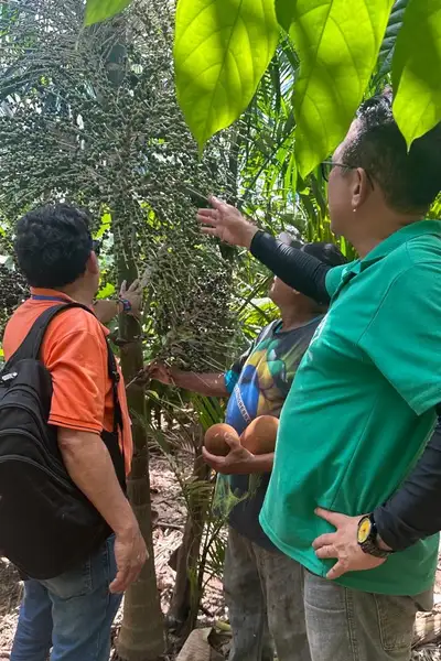 Crédito: Divulgação