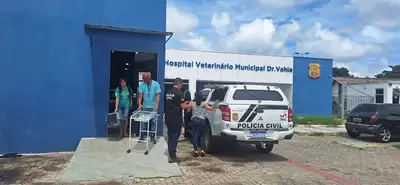 Crédito: Divulgação