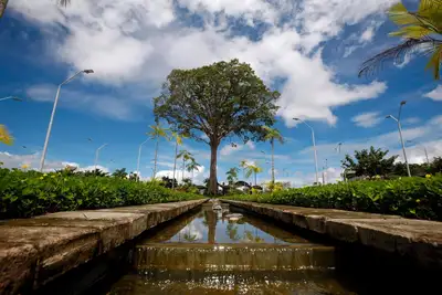 notícia: Levantamento nacional aponta Parque Estadual do Utinga entre os dez mais visitado do Brasil