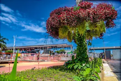 notícia: Jardins suspensos fornecem sombra em obras da COP 30 na capital paraense, Belém
