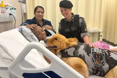 notícia: Terapia Assistida por Animais emociona pacientes em cuidados paliativos oncológicos