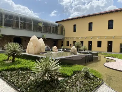 notícia: São José Liberto recebe oficina de Flores Sustentáveis de Miriti dia 4 de abril