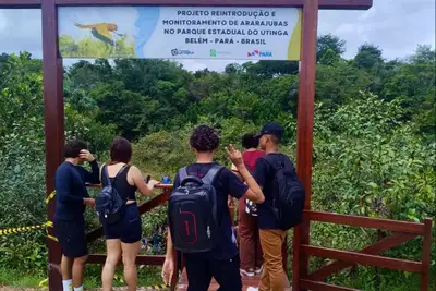 notícia: Estudantes da rede estadual visitam Parque do Utinga e conhecem Projeto de Reintrodução de Ararajubas