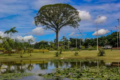 notícia: Parque Estadual do Utinga bate novo recorde de público com mais de 9 mil visitantes em um único dia