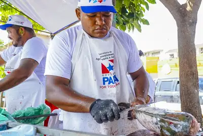 notícia: Feira do Pescado 2025 oferece 25 toneladas de peixe a preços acessíveis em Santarém