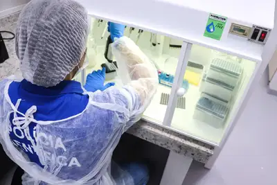 notícia: Laboratório de Genética Forense da Polícia Científica utiliza DNA para esclarecer crimes
