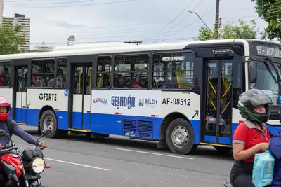galeria: Ônibus Geladão 