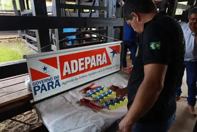 notícia: Adepará realiza campanha de atualização de cadastro de animais