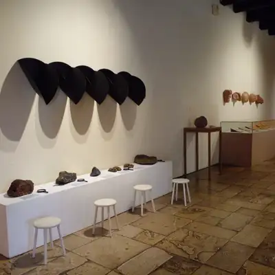 notícia: Casa das Onze Janelas inaugura exposição que une arte e ciências naturais