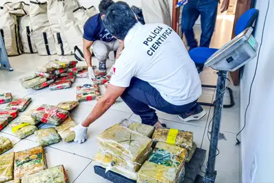 notícia: Polícia Científica perícia cerca de 500 quilos de entorpecentes apreendidos em Breves