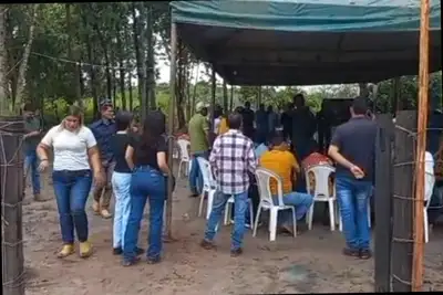 notícia: Emater incentiva apicultura em Dom Eliseu
