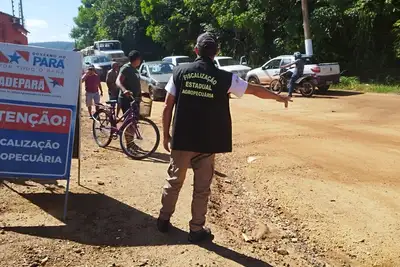 notícia: Adepará adota novas regras sanitárias para o trânsito de aves e ovos no Pará