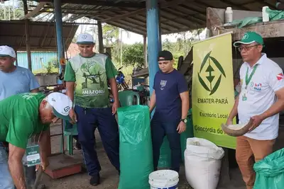 notícia: Parceria do Governo do Estado com Prefeituras fortalece agricultura nos municípios paraenses